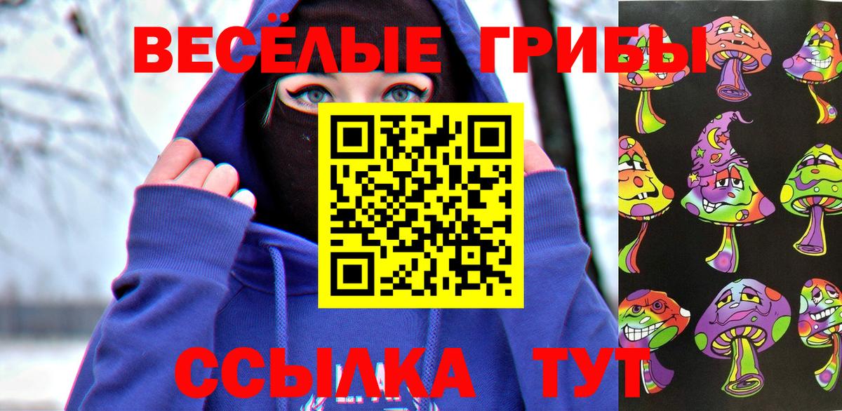 Щёлково  Галлюциногенные грибы мицелий  закладки  Вход с VPN 