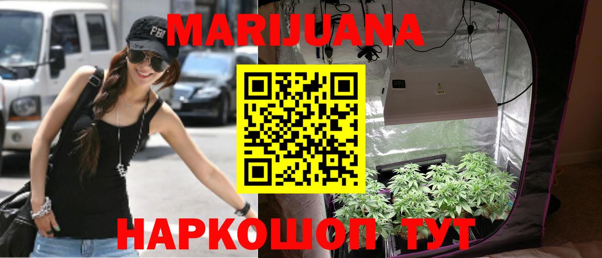 Шишки марихуана VHQ  Вход с VPN  Шишки марихуана сатива  Марихуана VHQ  Щёлково  Бошки марихуана сатива 